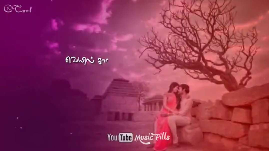 Tamil WhatsApp status | Tamil Love Status Download