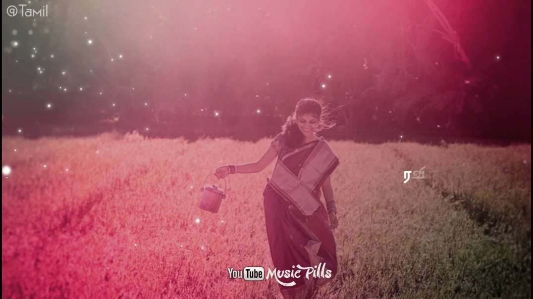 Panju Mittai Video status Song | Ettupatti Rasa | Tamil WhatsApp Status Download