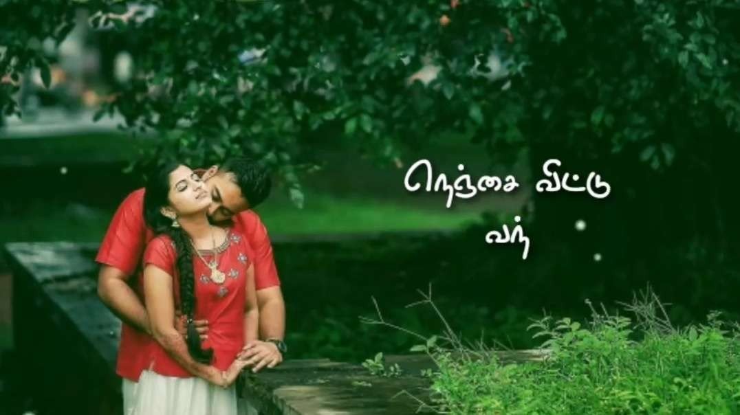 kaadu thiranthu whatsapp status | kaadu thiranthu lyrics whatsapp status