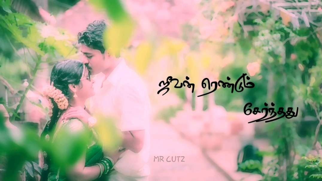 Whatsapp Status Tamil - தென்றல் காற்றே கொஞ்சம் நில்லு