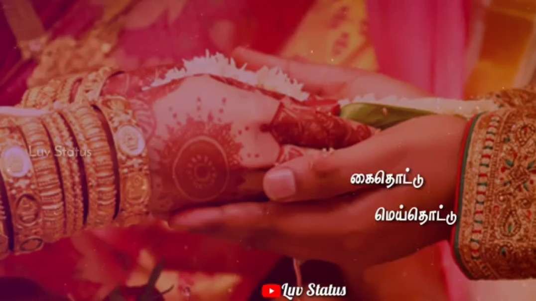 Whatsapp status Tamil video | lovely song | tamil love status videos hd