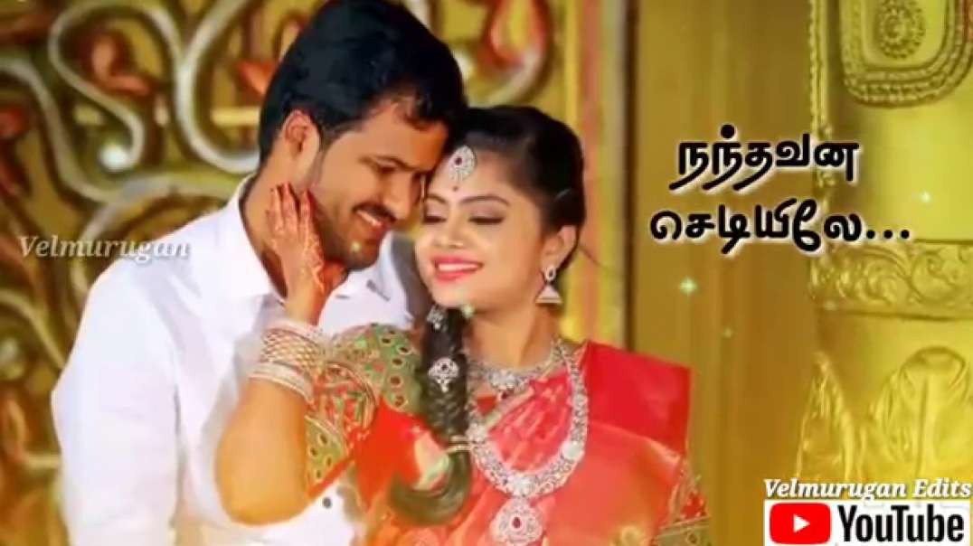 Em Manasula Adi Unna Nenachathunale | WhatsApp Status tamil | love status video