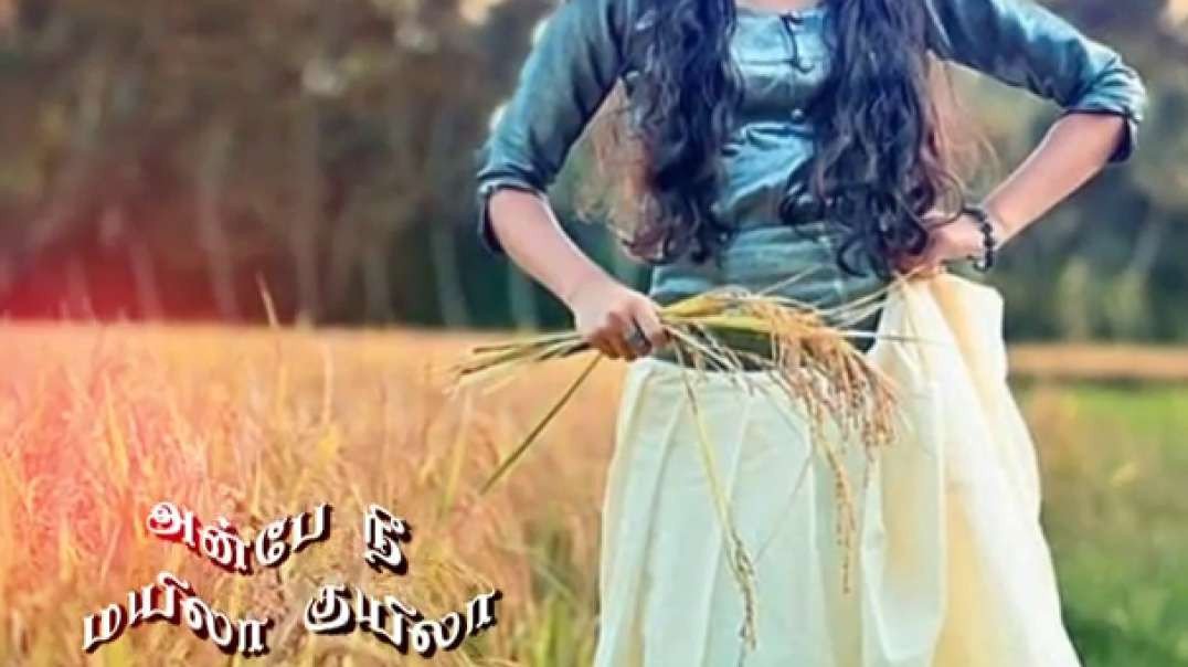 Anbe Nee Mayila kuyila song | WhatsApp status Tamil